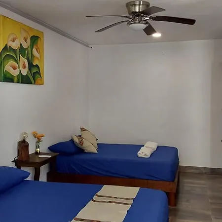 Villas Carlota Cancún-3